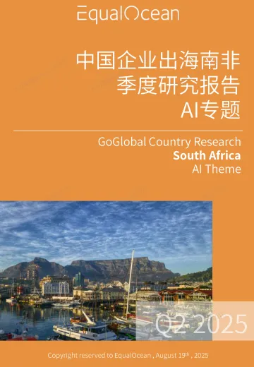 2025中国AI企业出海系列研究:南非篇 听光Vic
