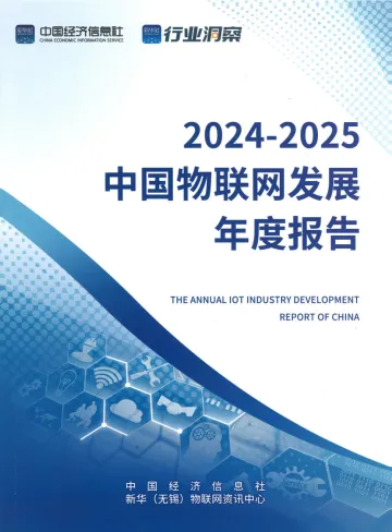 2024-2025中国物联网发展年度报告-中国经济信息网 听光Vic