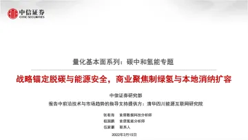 量化基本面系列:碳中和氢能专题,战略锚定脱碳与能源安全,商业聚焦制绿氢与本地消纳扩容-20220315-中信证券-62页