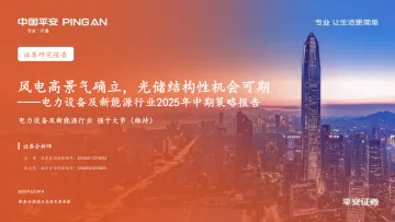 电力设备及新能源行业2025年中期策略报告:风电高景气确立,光储结构性机会可期-平安证券 听光Vic_1