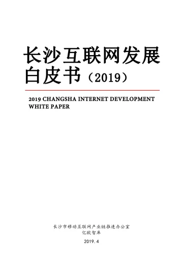 2019长沙互联网发展白皮书
