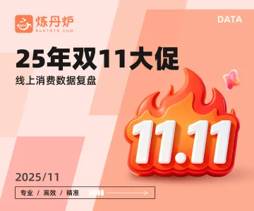 2025年双十一大促线上销售数据复盘-炼丹炉 听光Vic