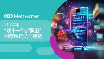 2024年“双十一”与“黑五”的营销玩法与趋势-15页_1