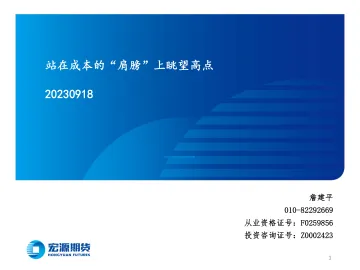 站在成本的“肩膀”上眺望高点-20230918-宏源期货-26页