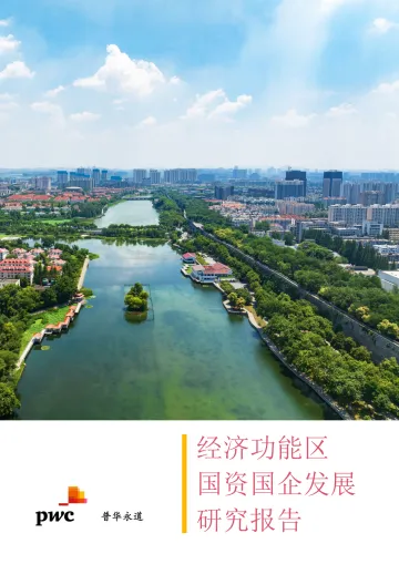 《经济功能区国资国企发展研究报告》-12页