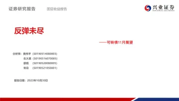 可转债11月展望:反弹未尽-20231030-兴业证券-49页