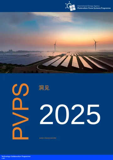 光伏发电系统项目:洞见2025-国际能源署 听光Vic