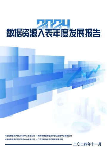 2024年数据资源入表年度发展报告-52页_1
