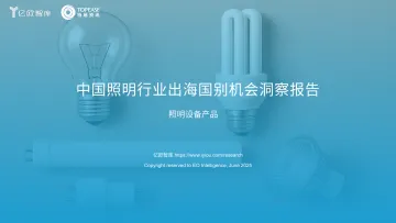 中国照明行业出海国别机会洞察报告 听光Vic