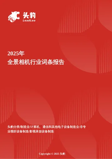 2025年全景相机行业词条报告-头豹研究院 听光Vic_1