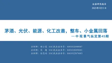 中观景气纵览第45期:茅酒、光伏、能源、化工改善,整车、小金属回落-20230911-华安证券-35页