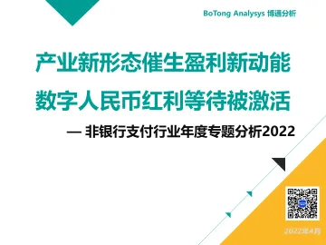 非银支付行业年度专题分析：产业新形态催生盈利新动能数字人民币红利等待被激活-130页