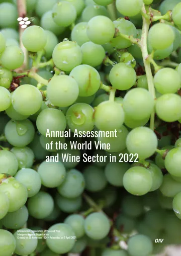 2022年世界葡萄与葡萄酒行业年度评估(英)-30页-WN10