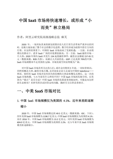 中国SaaS市场将快速增长,或形成“小而美”林立格局-6页-WN10