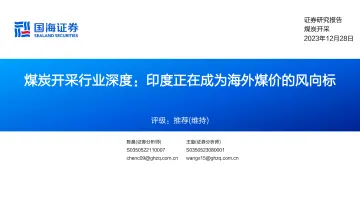煤炭开采行业深度:印度正在成为海外煤价的风向标-国海证券 听光Vic_1