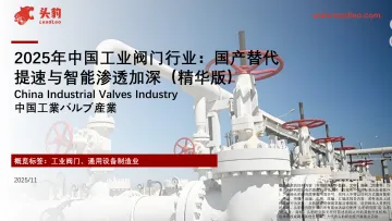 2025年中国工业阀门行业:国产替代提速与智能渗透加深(精华版)-头豹研究院 听光Vic