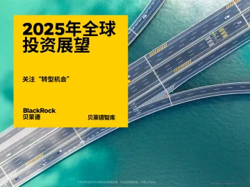 2025年全球投资展望报告-贝莱德