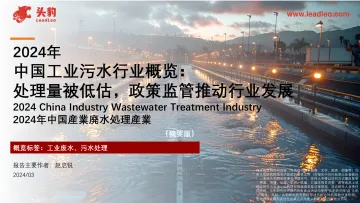 2024年中国工业污水行业概览:处理量被低估,政策监管推动行业发展-头豹(1)