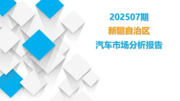 新疆自治区汽车市场分析报告202507期-广州市求信商征信息咨询 听光Vic_1