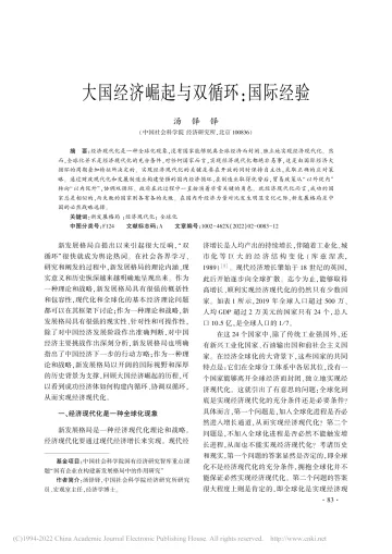 社科院-大国经济崛起与双循环:国际经验-12页