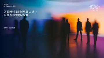 世界经济论坛-2025年人才与未来工作匹配:公共就业服务指南报告(英译中) 听光Vic