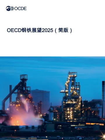 OECD钢铁展望2025（简版） 听光Vic 