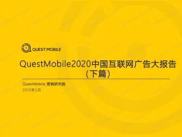 2020中国互联网广告大报告（下）