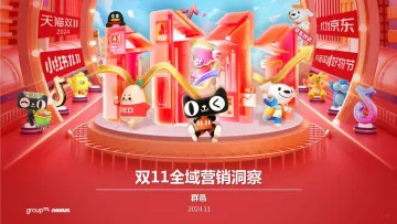 双11全域营销洞察-2024.12-91页