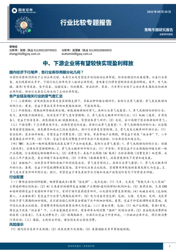 行业比较专题报告:中、下游企业将有望较快实现盈利释放-20230920-国金证券-45页