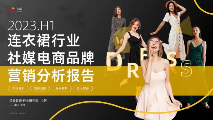2023年H1服饰行业连衣裙品类市场趋势&热门品牌社媒分析报告-果集行研-2023.10-46页-WN10