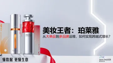 解数咨询-美妆行业：美妆王者，珀莱雅，从大单品到多品牌运维，如何实现跨越式增长？