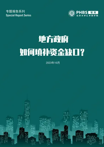 北大汇丰智库-地方政府如何填补资金缺口?-2023-WN10