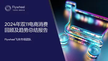 2024年双11电商消费回顾及趋势总结报告-Flywheel飞未 听光Vic