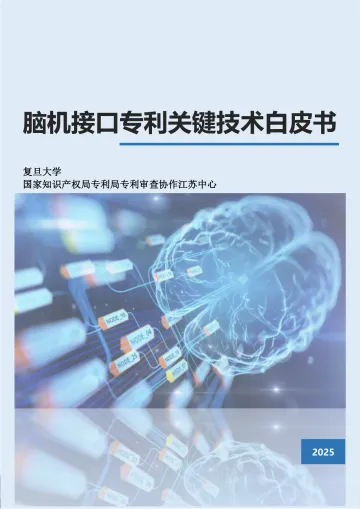脑机接口行业:脑机接口专利关键技术白皮书-复旦大学 听光VIc