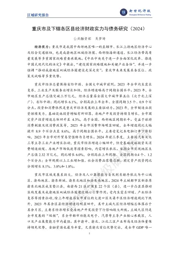 重庆市及下辖各区县经济财政实力与债务研究(2024)-35页_1