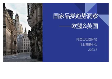 阿里巴巴国际站-2023年国家品类趋势洞察报告——欧盟&英国-2024.11-55页_1