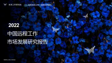 2022中国远程工作市场发展研究报告-未来工作研究院-48页