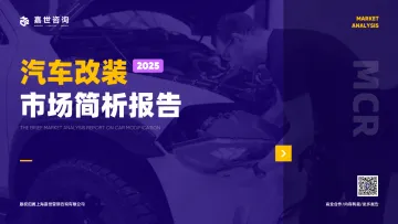 2025汽车改装市场简析报告-上海嘉世营销咨询 听光Vic_1