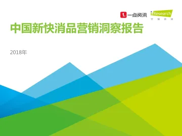 2018年中国新快消品营销洞察报告
