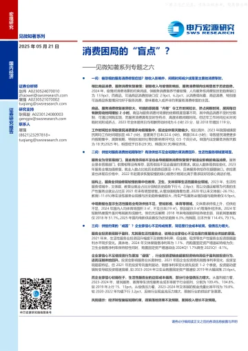 见微知著系列专题之六:消费困局的“盲点”?-申万宏源-250521 听光Vic_1
