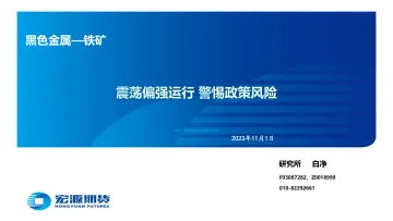 黑色金属_铁矿:震荡偏强运行,警惕政策风险-20231101-宏源期货-29页
