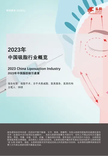 2023年中国吸脂行业概览-头豹 听光Vic