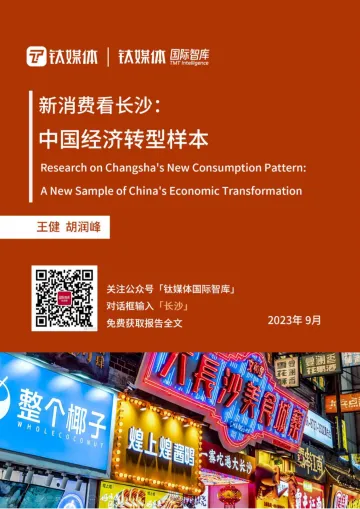 钛媒体-新消费看长沙 中国经济转型样本-2023.09-27页-WN10