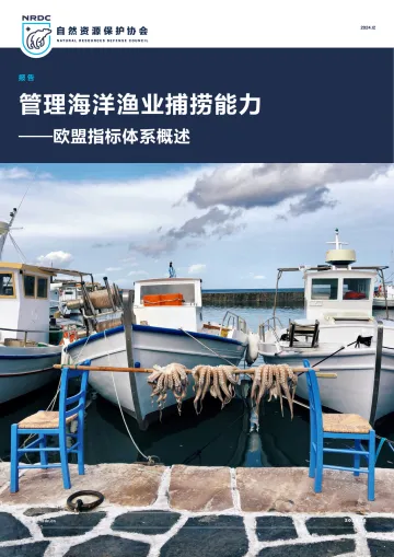 2024年管理海洋捕捞能力——欧盟指标体系概述报告_1