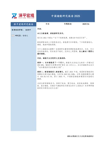 中国储能研究报告2025-泽平宏观 听光Vic