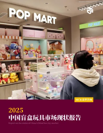 2025中国盲盒玩具市场现状 听光Vic_1