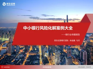 银行业专题报告:中小银行风险化解案例大全-民生证券 听光Vic