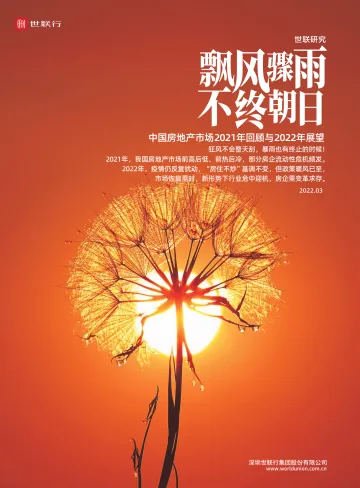 中国房地产市场2021年回顾与2022年展望-世联行-2022.3-99页
