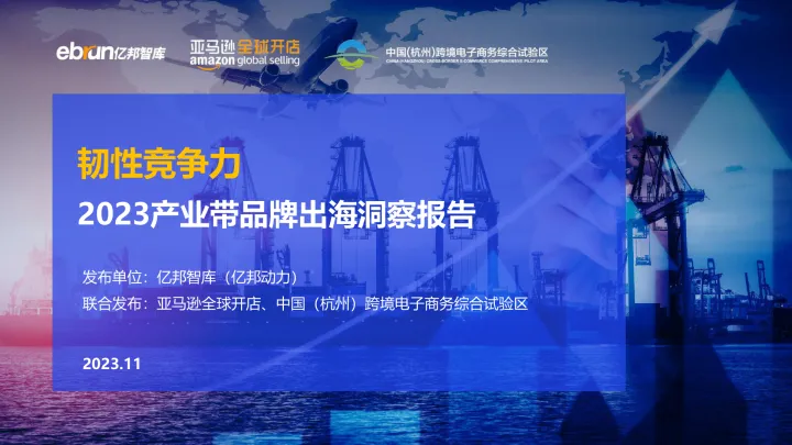 2023产业带品牌出海洞察报告-亿邦智库-2023.11-29页