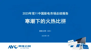 2023年中国彩电双11促销报告-10页-WN11
